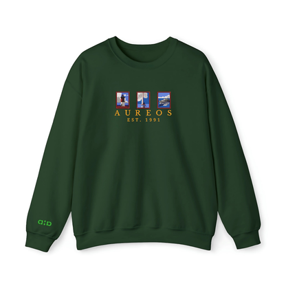 Sudadera Heavy blend "3 Nautica Frames Vol I"