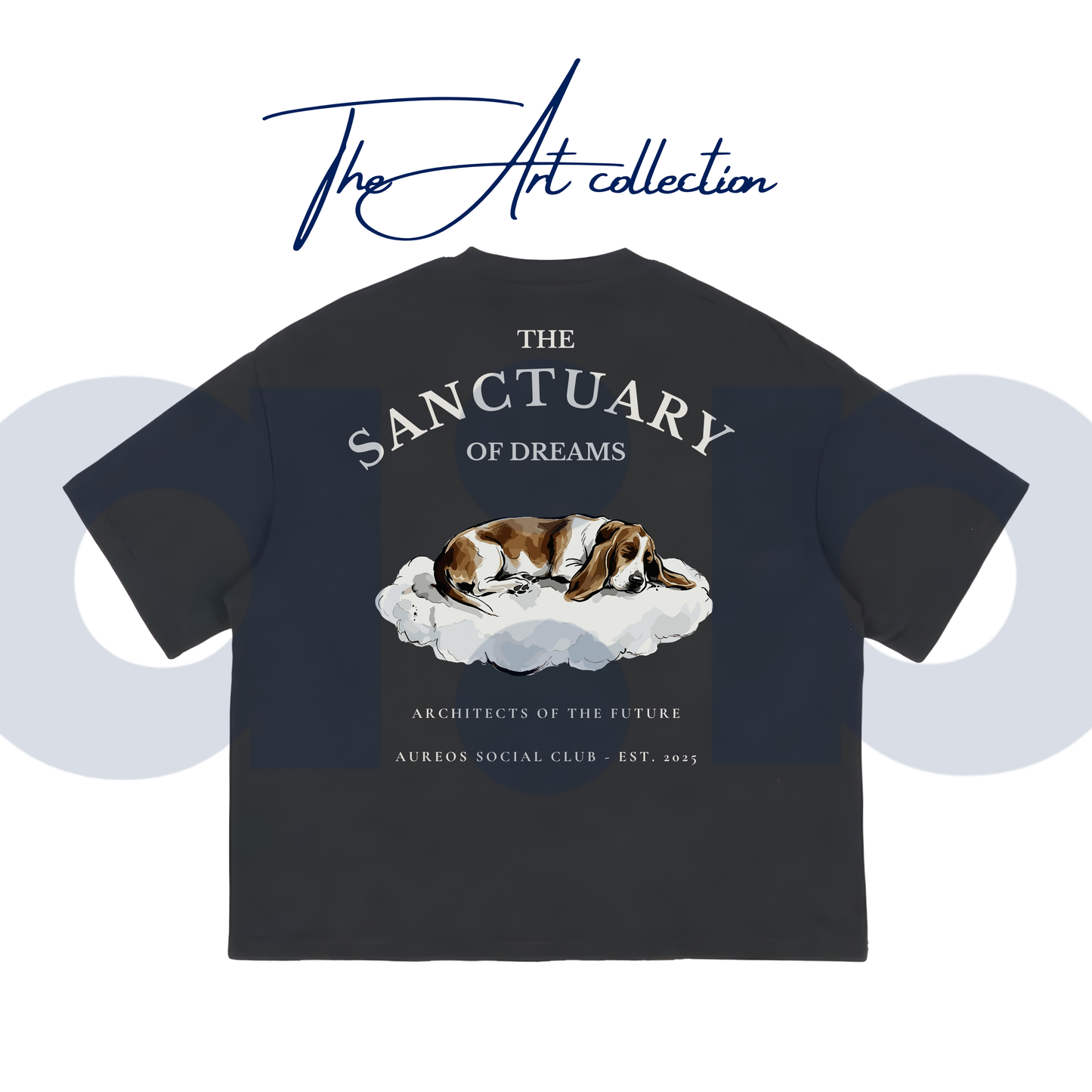 "The Sanctuary of dreams" - The Boxy fit.