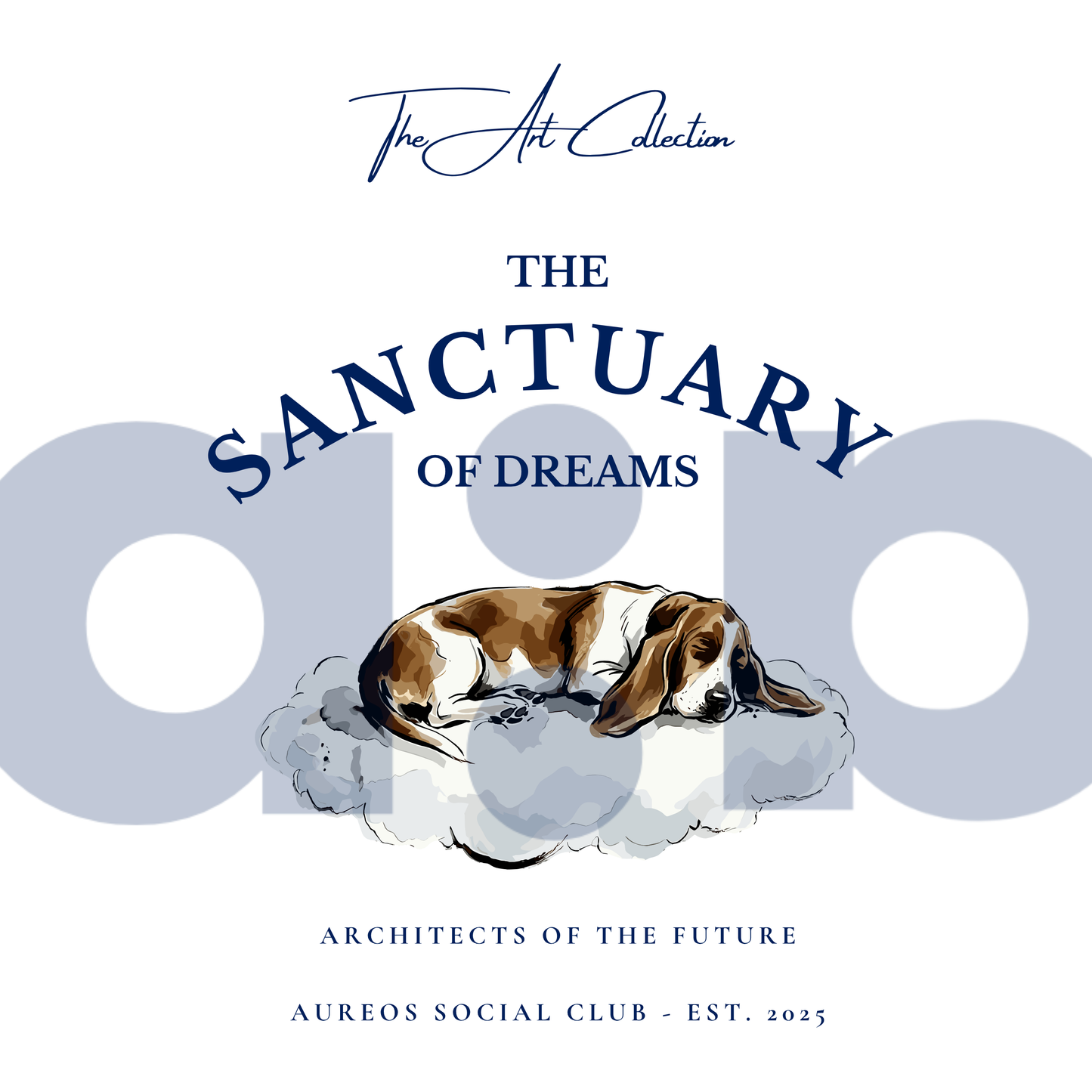 "The Sanctuary of dreams" - The Boxy fit.