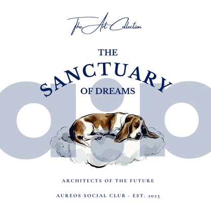 "The Sanctuary of dreams" - The Boxy fit.