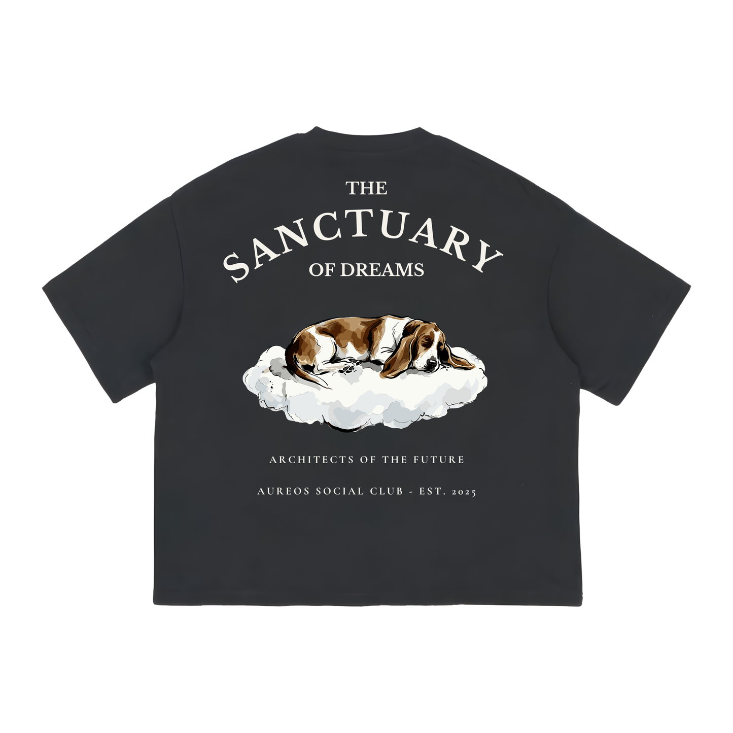 "The Sanctuary of dreams" - The Boxy fit.