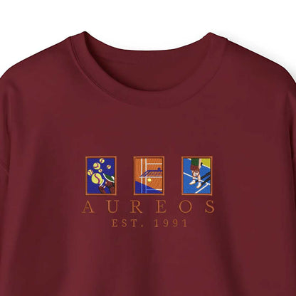 Sudadera Heavy blend "3 Frame Tennis Vol II"