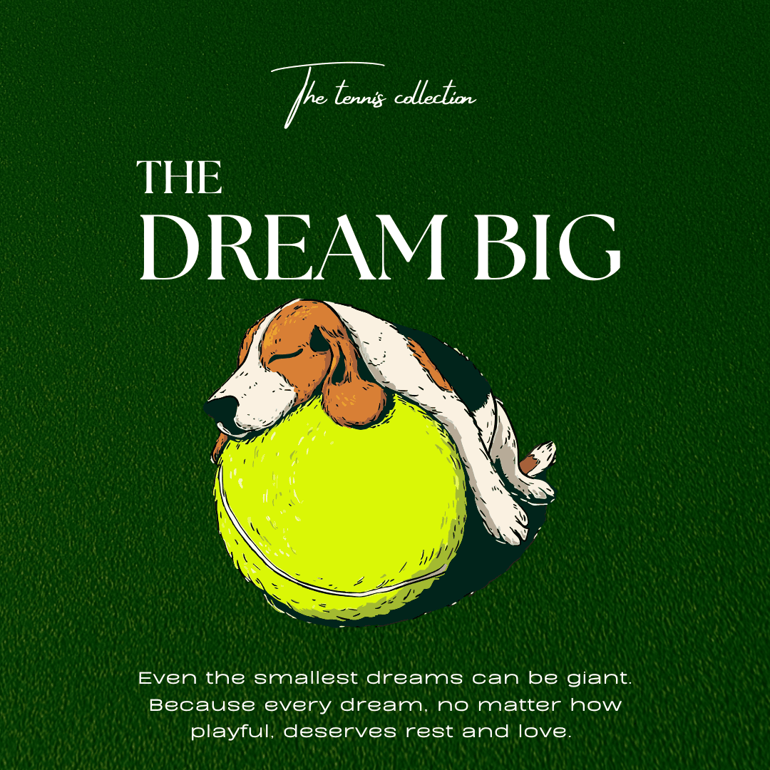 "The Big Dream" - The Relaxed fit.